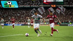 Fluminense vs Flamengo – Nhận định trận 07h30 ngày 20/11/2025
